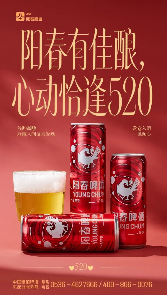阳春啤酒-Y系列