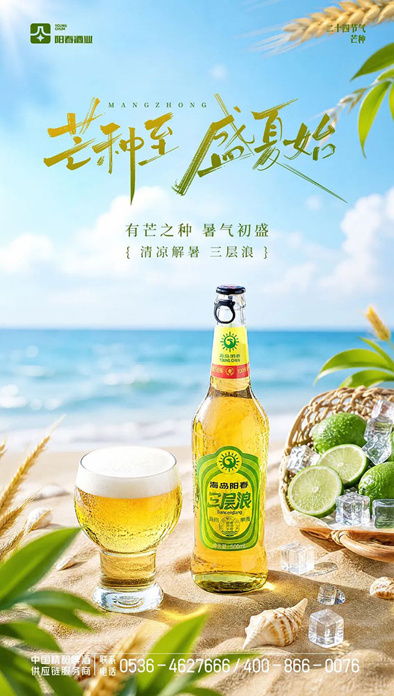 海南阳春啤酒三层浪精酿啤酒
