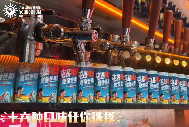 阳春啤酒精酿啤酒