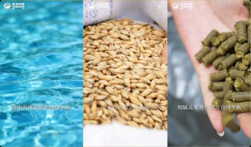 海岛阳春视频截图